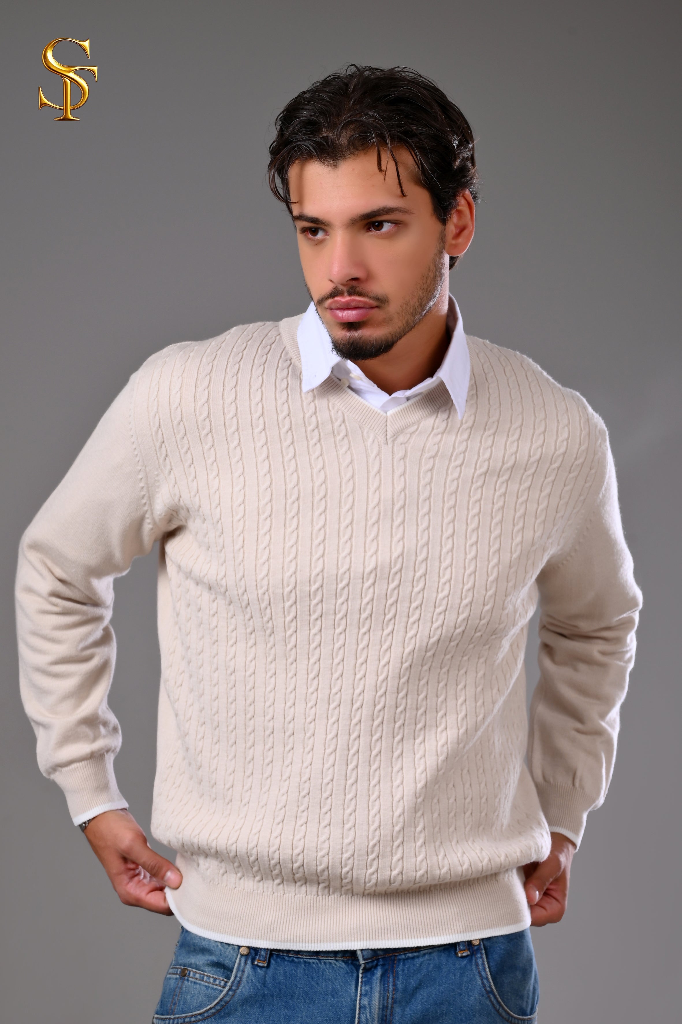 بلوفر تريكو رجالي ضفيرة – ياقة V