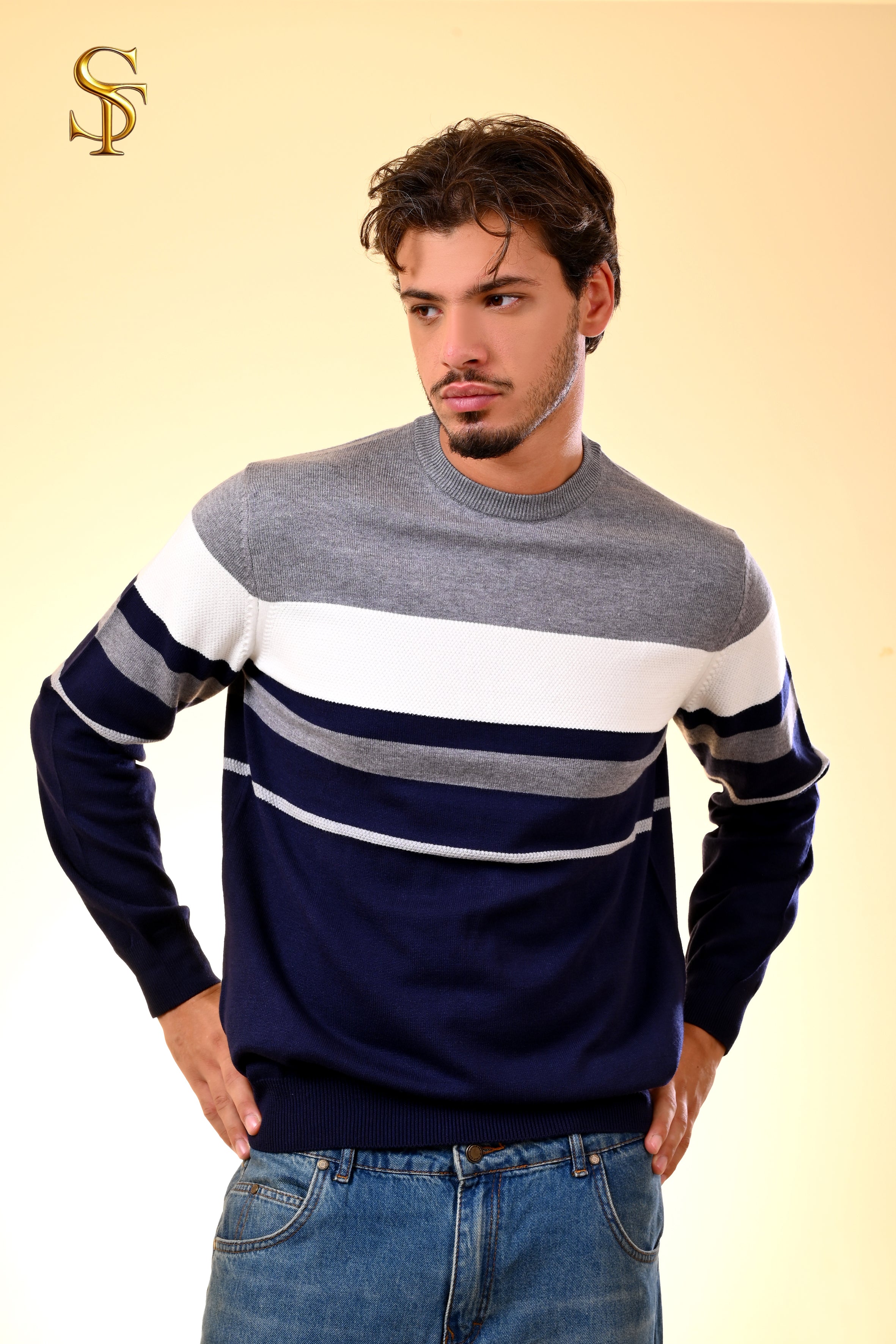 بلوفر تريكو رجالي ياقة مدوّرة – تقليم مع لينكس قصير